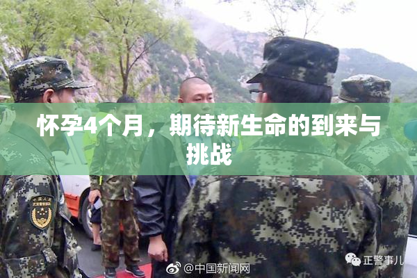 怀孕4个月，期待新生命的到来与挑战