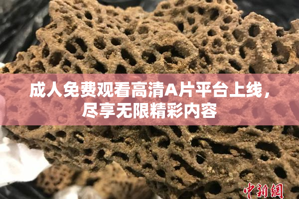 成人免费观看高清A片平台上线，尽享无限精彩内容
