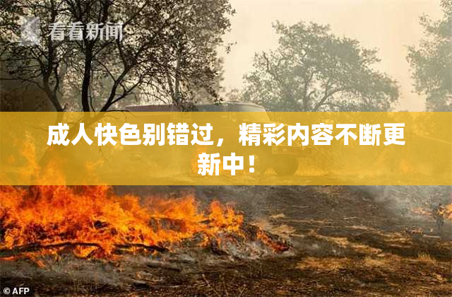 成人快色别错过，精彩内容不断更新中！