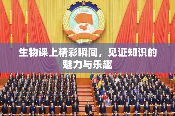 生物课上精彩瞬间，见证知识的魅力与乐趣