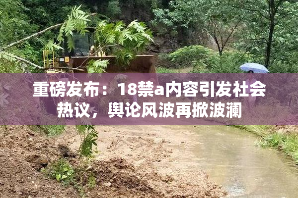重磅发布：18禁a内容引发社会热议，舆论风波再掀波澜