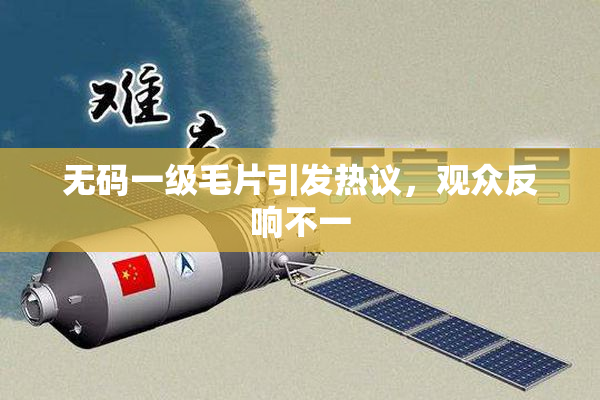 无码一级毛片引发热议，观众反响不一