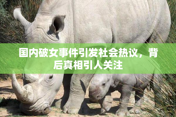 国内破女事件引发社会热议，背后真相引人关注