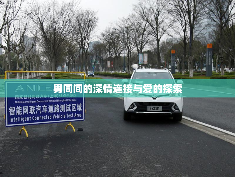 男同间的深情连接与爱的探索
