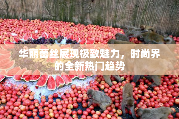 华丽蕾丝展现极致魅力，时尚界的全新热门趋势