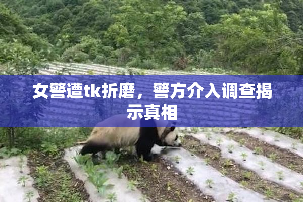 女警遭tk折磨，警方介入调查揭示真相