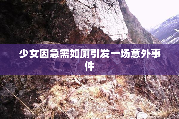 少女因急需如厕引发一场意外事件