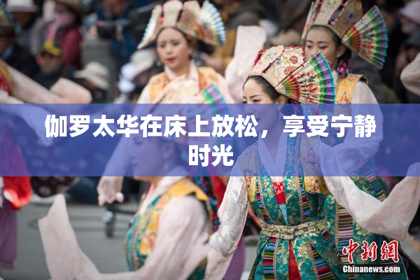 伽罗太华在床上放松，享受宁静时光