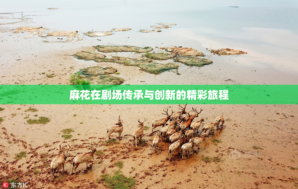 麻花在剧场传承与创新的精彩旅程