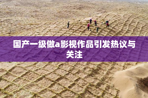 国产一级做a影视作品引发热议与关注