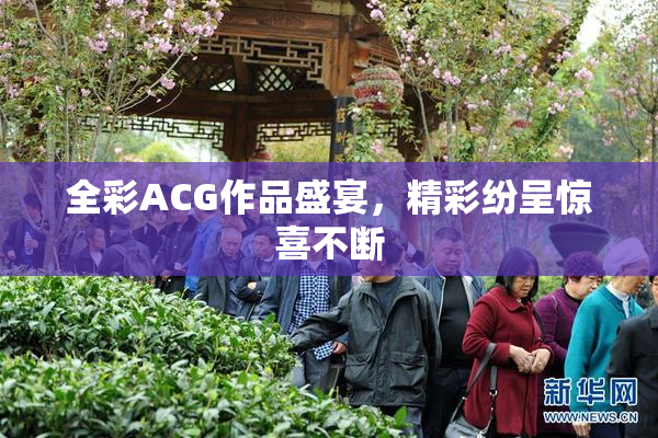 全彩ACG作品盛宴，精彩纷呈惊喜不断