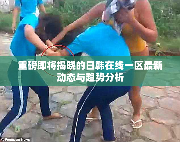 重磅即将揭晓的日韩在线一区最新动态与趋势分析
