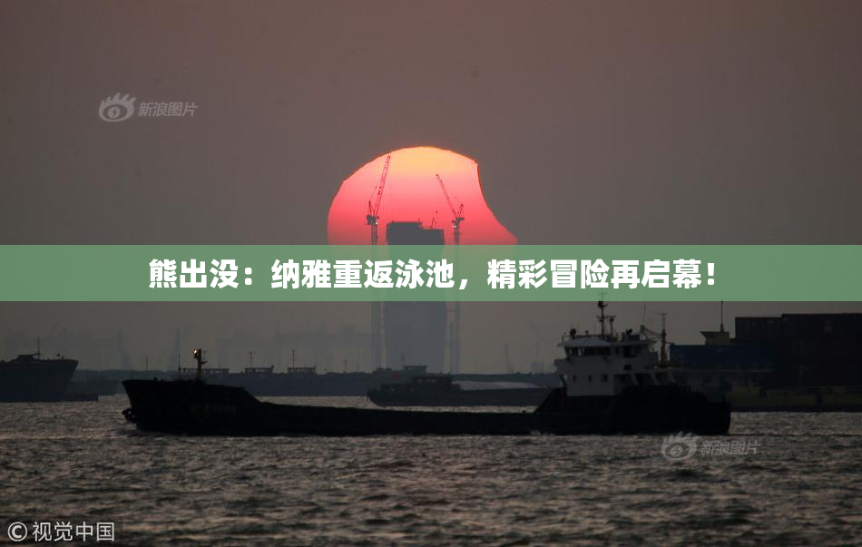 熊出没：纳雅重返泳池，精彩冒险再启幕！
