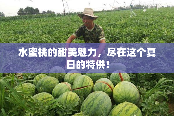 水蜜桃的甜美魅力，尽在这个夏日的特供！