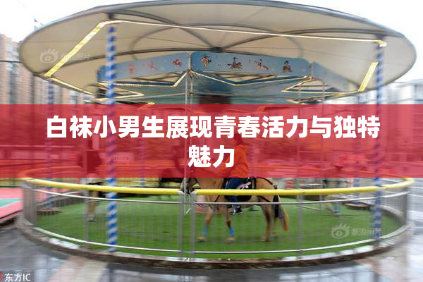 白袜小男生展现青春活力与独特魅力