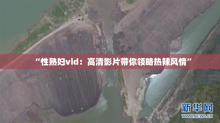 “性熟妇vid：高清影片带你领略热辣风情”