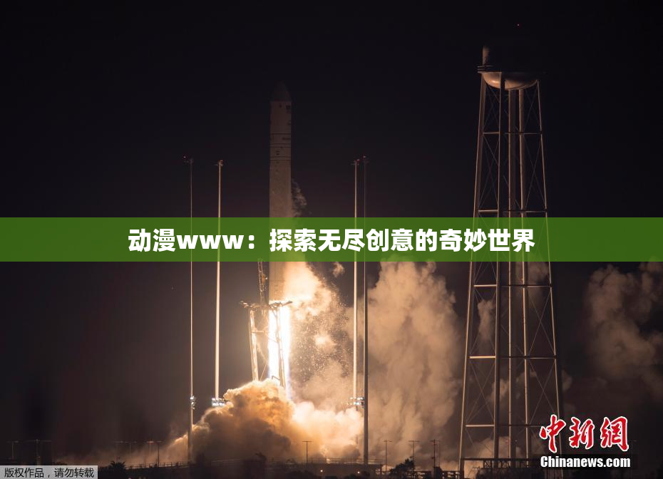 动漫www：探索无尽创意的奇妙世界