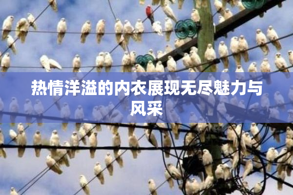 热情洋溢的内衣展现无尽魅力与风采