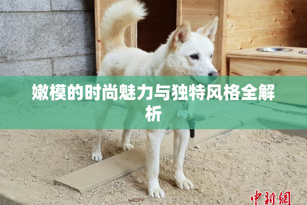 嫩模的时尚魅力与独特风格全解析