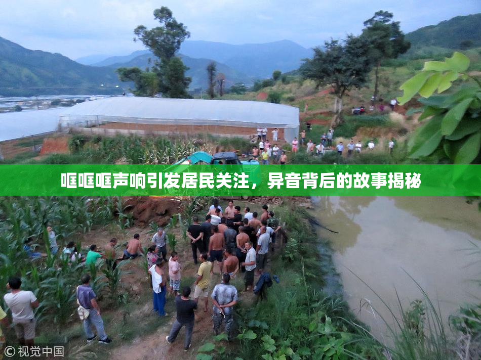哐哐哐声响引发居民关注，异音背后的故事揭秘
