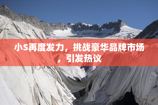 小S再度发力，挑战豪华品牌市场，引发热议