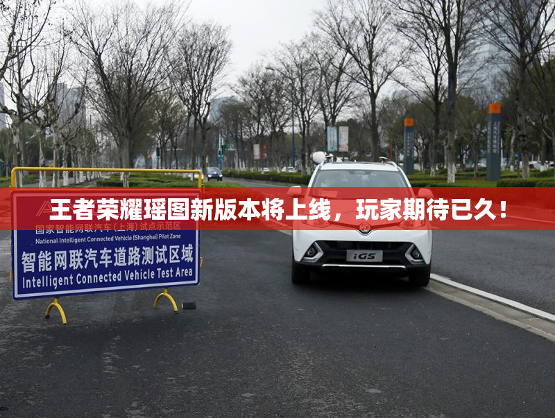 王者荣耀瑶图新版本将上线，玩家期待已久！