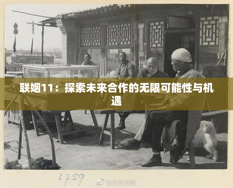 联姻11：探索未来合作的无限可能性与机遇