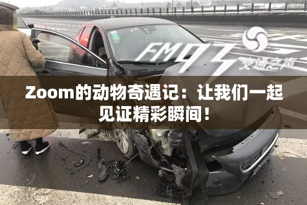 Zoom的动物奇遇记：让我们一起见证精彩瞬间！