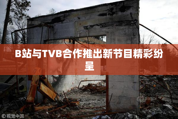 B站与TVB合作推出新节目精彩纷呈