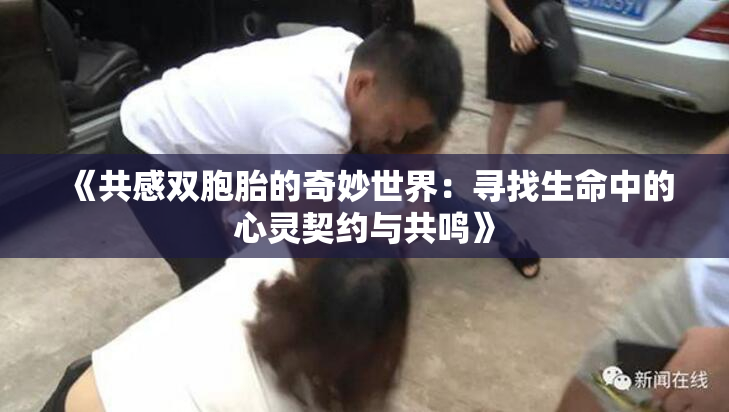 《共感双胞胎的奇妙世界：寻找生命中的心灵契约与共鸣》