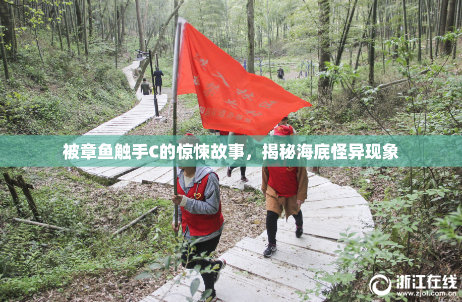 被章鱼触手C的惊悚故事，揭秘海底怪异现象