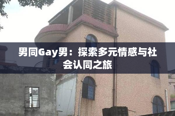 男同Gay男：探索多元情感与社会认同之旅