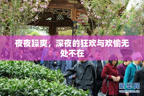 夜夜躁爽，深夜的狂欢与欢愉无处不在