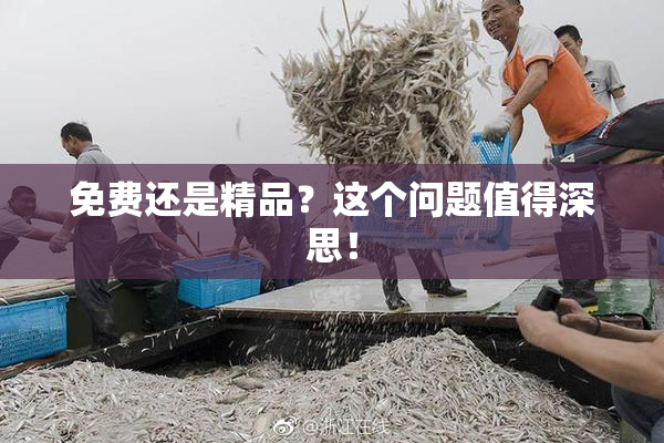 免费还是精品？这个问题值得深思！