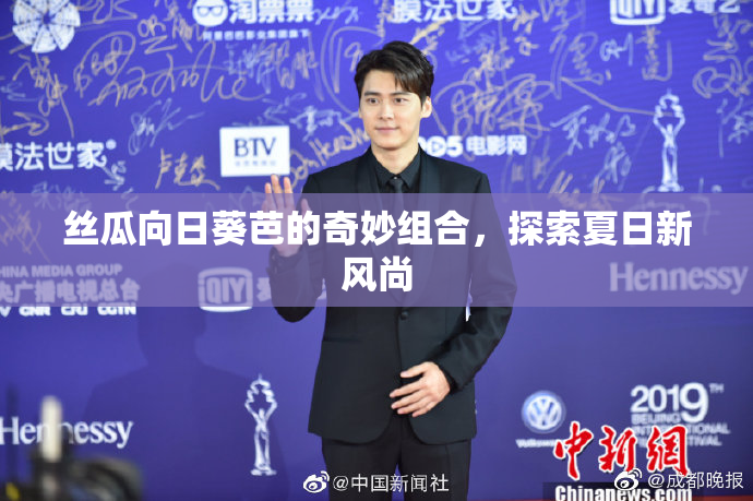 丝瓜向日葵芭的奇妙组合，探索夏日新风尚