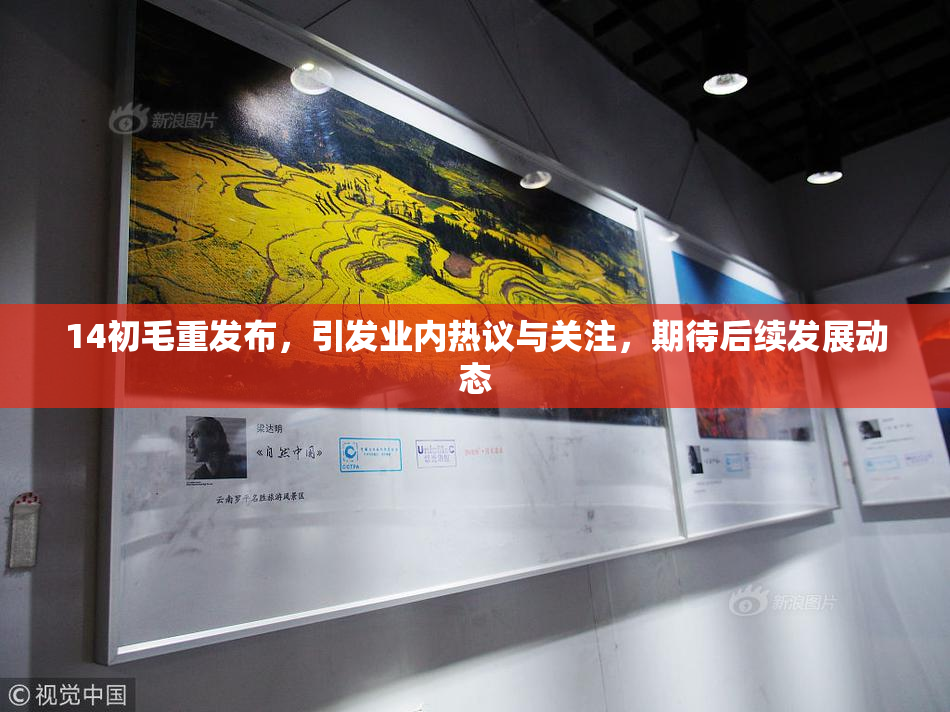 14初毛重发布，引发业内热议与关注，期待后续发展动态