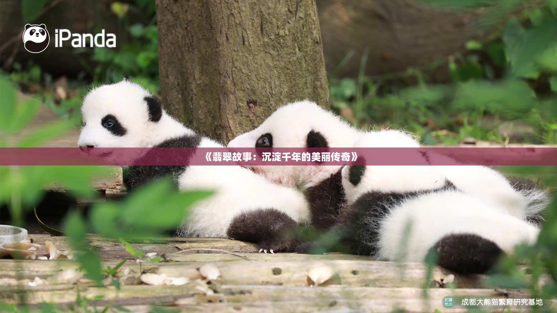 《翡翠故事：沉淀千年的美丽传奇》
