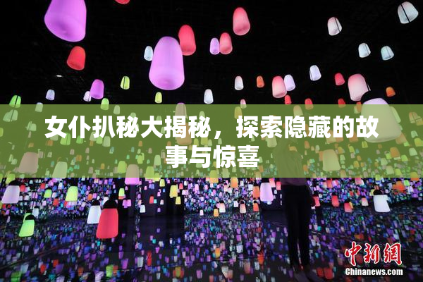 女仆扒秘大揭秘，探索隐藏的故事与惊喜