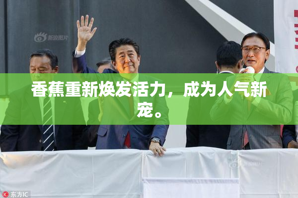香蕉重新焕发活力，成为人气新宠。