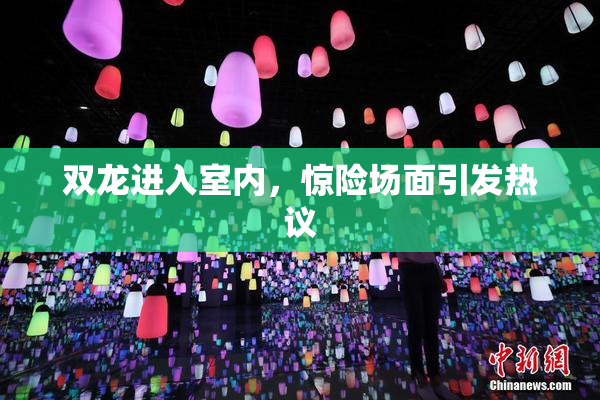 双龙进入室内，惊险场面引发热议