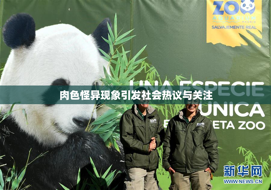 肉色怪异现象引发社会热议与关注