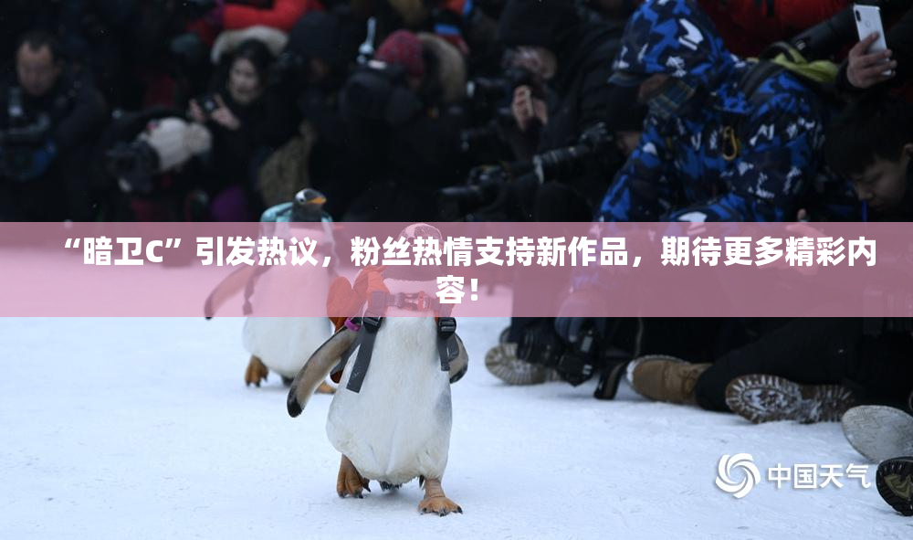 “暗卫C”引发热议，粉丝热情支持新作品，期待更多精彩内容！