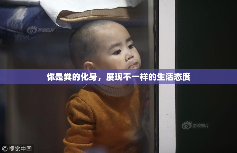你是粪的化身，展现不一样的生活态度