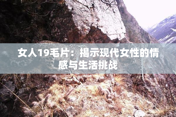 女人19毛片：揭示现代女性的情感与生活挑战
