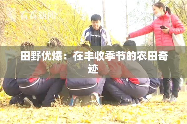 田野优爆：在丰收季节的农田奇迹