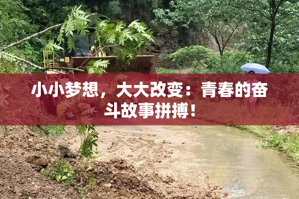 小小梦想，大大改变：青春的奋斗故事拼搏！