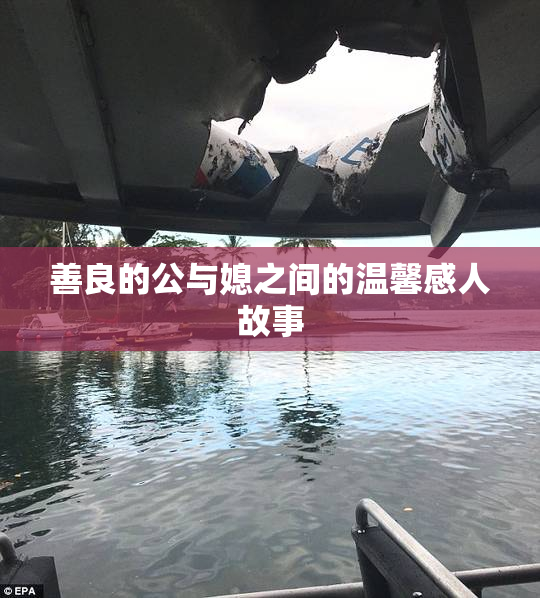 善良的公与媳之间的温馨感人故事
