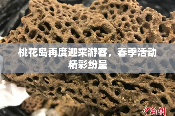 桃花岛再度迎来游客，春季活动精彩纷呈