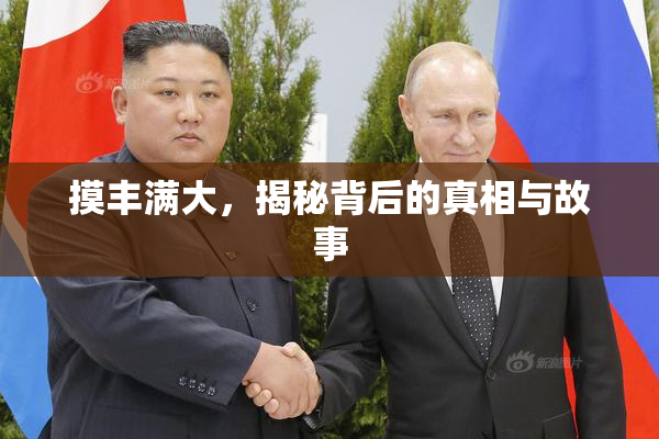 摸丰满大，揭秘背后的真相与故事
