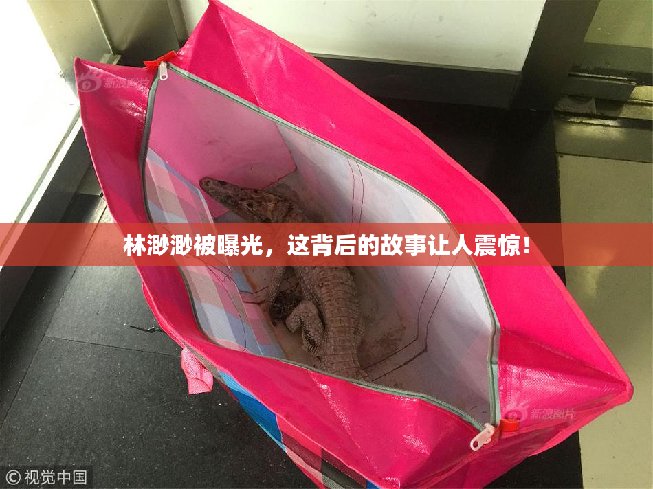 林渺渺被曝光，这背后的故事让人震惊！